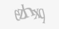 Защитный код